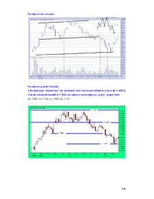 Curs Brokeri - Pagina 61