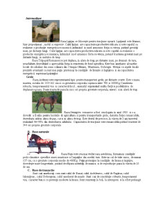 Tehnologia Creșterii Cabalinelor - Pagina 4