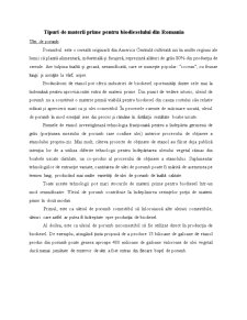 Potențialul României de a produce biodisel - Pagina 2