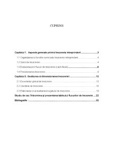 Analiza Echilibrului Financiar al Intreprinderii pe Baza Fluxurilor - Pagina 1