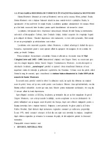 Program de Valorificare și Dezvoltare Durabilă a Patrimoniului Turistic Balnear al Stațiunii Baile Sărata Monteoru - Orizont 2020 - Pagina 3
