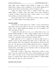 Prelucrarea primară a strugurilor roșii într-o pensiune agroturistica, zona Oltenia - Pagina 3