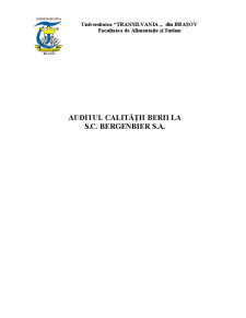 Auditul calității berii la SC Bergenbier SA - Pagina 1