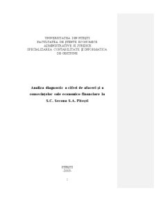 Analiză diagnostic a cifrei de afaceri și a consecințelor sale economico-financiare la SC Secona SA Pitești - Pagina 2