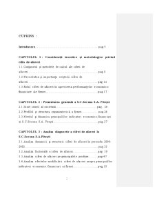 Analiză diagnostic a cifrei de afaceri și a consecințelor sale economico-financiare la SC Secona SA Pitești - Pagina 3