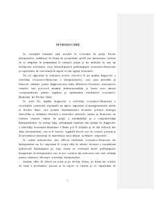 Analiză diagnostic a cifrei de afaceri și a consecințelor sale economico-financiare la SC Secona SA Pitești - Pagina 5