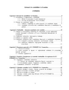 Sistemul de Contabilitate în România - Pagina 1