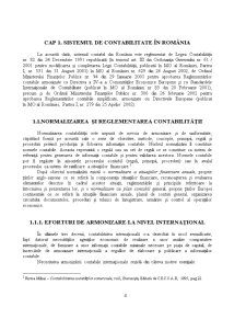 Sistemul de Contabilitate în România - Pagina 2