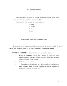 Proiect Contabilitate - SC Self-Exim SA - Pagina 2