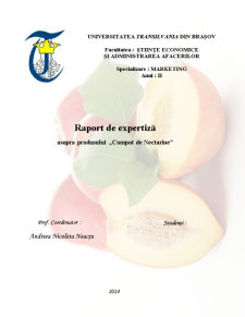 Raport de Expertiză Asupra Produsului Compot de Nectarine - Pagina 1