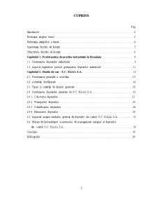 Managementul deșeurilor industriale din cadrul SC RAAL SA - Pagina 2