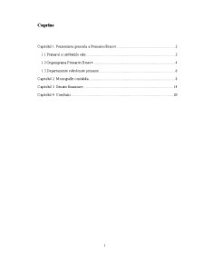 Contabilitatea instituțiilor publice - studiu de caz primăria Brașov - Pagina 2