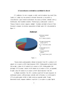 Analiza financiară - studiu de caz SC Antibiotice SA - Pagina 2