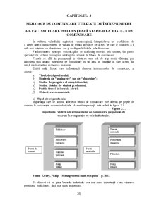 Studiu de Caz privind Comunicarea de Marketing pe Piața Berii în România - Pagina 2