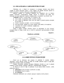 Studiu de Caz privind Comunicarea de Marketing pe Piața Berii în România - Pagina 5