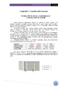 Analiza economico-financiară Casa de Bucovina Club de Munte SA - Pagina 2
