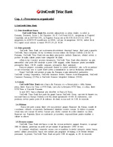 Tehnici de evaluare a riscurilor în organizațiile industriale - Unicredit Țiriac Bank - Pagina 2