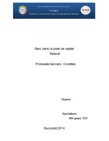 Produsele Bancare - Creditele - Pagina 1