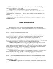 Audit Financiar - Pagina 4