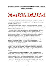 Studiu de caz - Ceramica Iași - Pagina 3