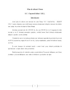 Plan de afaceri firma SC Cascaval-Select SRL - Pagina 1
