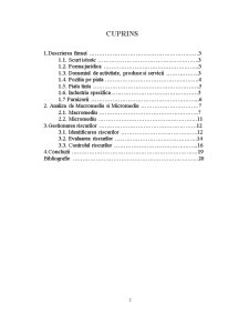 Tehnici de Evaluare a Riscurilor în Organizațiile Industriale - Pagina 2