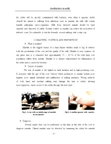 Antibiotics în Milk - Pagina 5