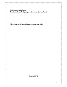 Gestiune financiară a companiei - Pagina 1