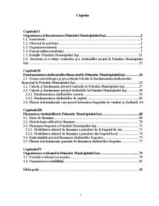 Studiu Monografic Realizat la Primăria Municipiului Iași - Pagina 2