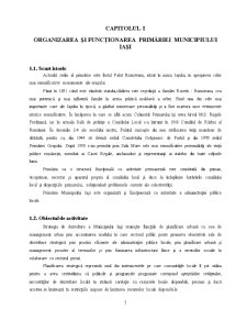 Studiu Monografic Realizat la Primăria Municipiului Iași - Pagina 3