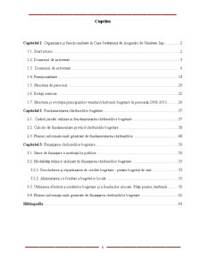 Fundamentarea și Finanțarea Cheltuielilor Bugetare la Casa Județeană de Asigurări de Sănătate Iași - Pagina 2