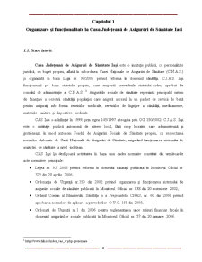 Fundamentarea și Finanțarea Cheltuielilor Bugetare la Casa Județeană de Asigurări de Sănătate Iași - Pagina 3