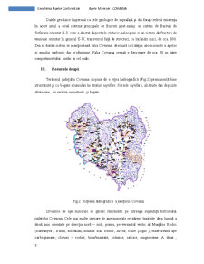 Ape Minerale Covasna - Pagina 4