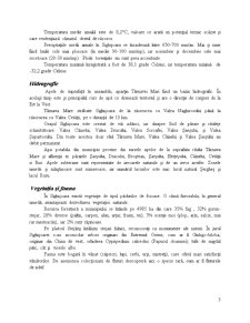 Sighișoara - Pagina 4