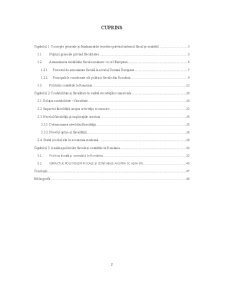 Rolul Politicilor Fiscale și Contabile în Maximizarea Performanțelor Societăților Comerciale - Pagina 2