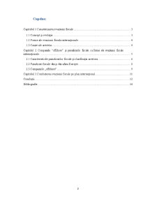 Forme ale Evaziunii Fiscale Internaționale - Pagina 2