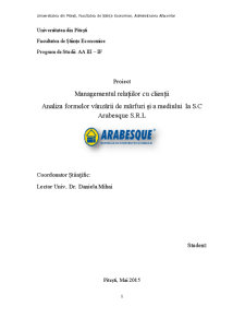 Analiza formelor vânzării și a mediului la SC Arabesque SRL - Pagina 1