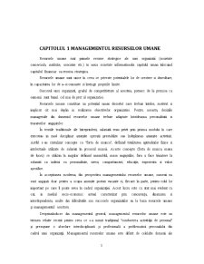 Managementul Resurselor Umane în Cadrul Antibiotice Iași - Pagina 3