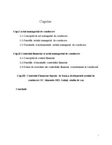 Controlul financiar - Pagina 1