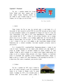 Management Internațional - Fiji - Pagina 1