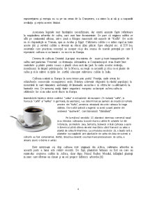 Proiectarea unei cafetiere - Pagina 4