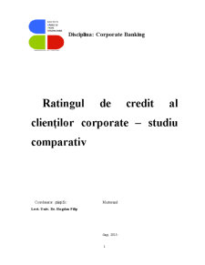 Ratingul de credit al clienților corporate - studiu comparativ - Pagina 1