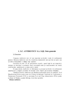 Analiza comparativă între Biofarm și Antibiotice Iași - Pagina 2