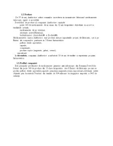 Analiza comparativă între Biofarm și Antibiotice Iași - Pagina 4