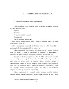 Cultura Organizațională Primăria Timișoara - Pagina 4