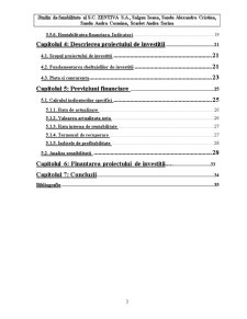 Studiu de Fezabilitate - S.C. Zentiva S.A. - Pagina 3