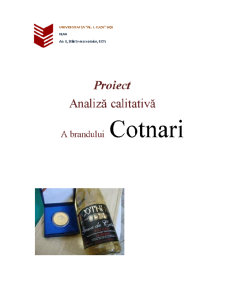 Analiză calitativă a brandului Cotnari - Pagina 1