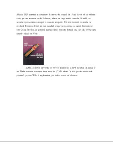 Analiza pieței produsului vopsea de păr - Pagina 4