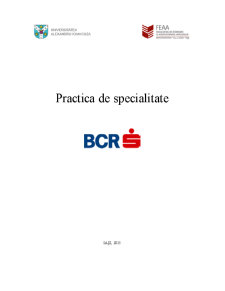Practică de specialitate BCR - Pagina 1