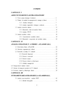 Analiza strategică a firmei Atlassib SRL - Pagina 2